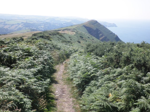 Coastal path to Combe Martin
