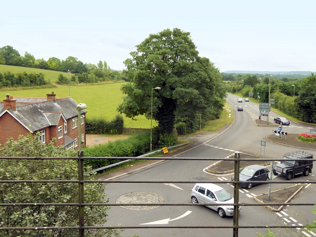 Traffic Island on Selborne Road