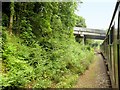 Mid-Hants Railway, The Bridge at Borovere Lane