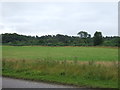 Farmland towards the railway