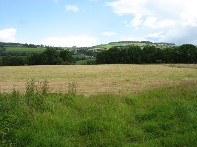 Fields south of Ballyduff