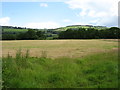 W9698 : Fields south of Ballyduff by David Purchase