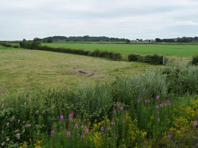 Field corner, farmland east of Minehead