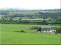 W8697 : Farmland at Curragh Upper by David Purchase