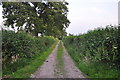 Mid Devon : Farm Track