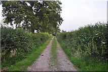 ST0304 : Mid Devon : Farm Track by Lewis Clarke