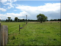 R8200 : Farmland north-east of Fermoy by David Purchase