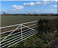 Gate onto farmland north of Fleckney