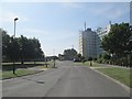 Cartmell Drive - viewed from Coronation Parade