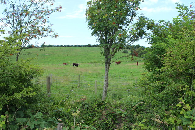 Farmland at Kirklands, Kirkoswald