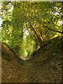 Bridleway north of Rodsall Manor