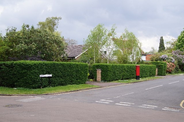 Trim hedge - Newton Road