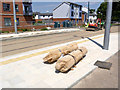 Story poles in waiting