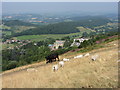 View NW from Sugarloaf Hill