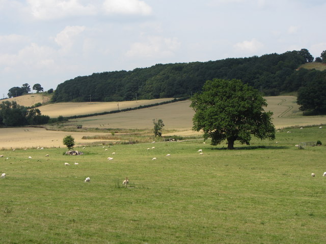Fields near Eastnor