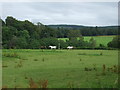 Grazing east of the A96