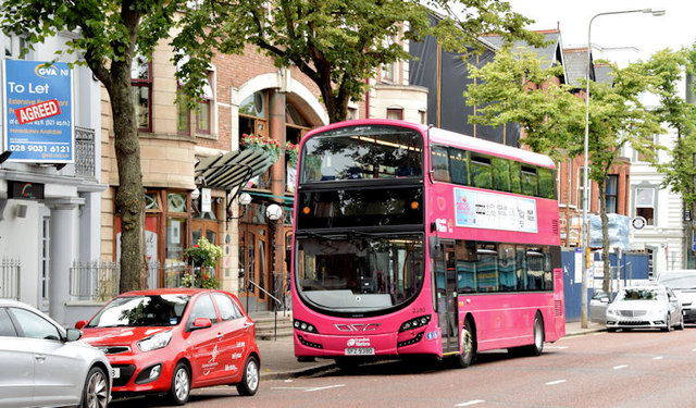 Magenta bus, Belfast (July 2014)