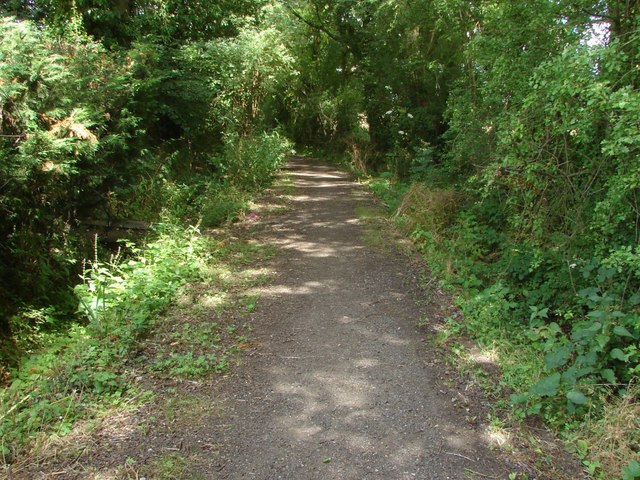 Downfield Lane