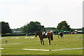 Pony Club Area Dressage Qualifier, Lincolnshire Showground