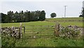 Farmland near Orton