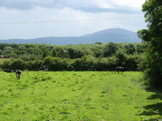 Country east of Ballingarry