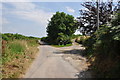 North Devon : Country Lane