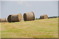 North Devon : Grassy Field