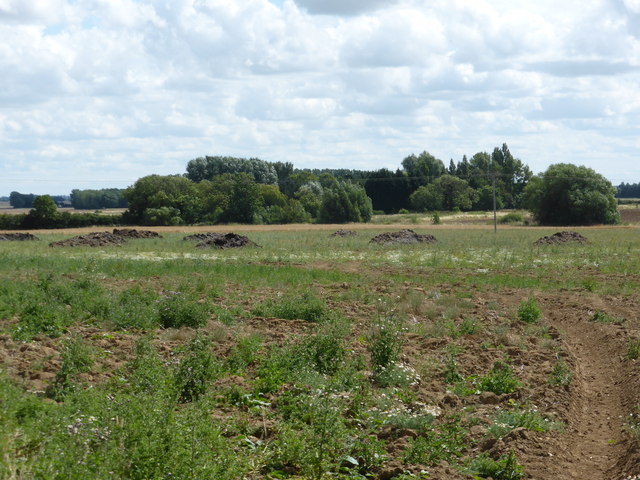 Soil improvement © Bob Harvey :: Geograph Britain and Ireland