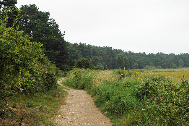 Norfolk coast Path 017