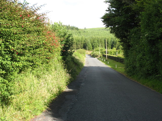 Minor road in the Wicklow Mountains