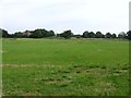 Round Head/Copse Field/Three Acres