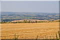 North Devon : Grassy Field & Scenery