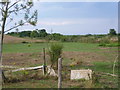 A former horse buried near a former railway