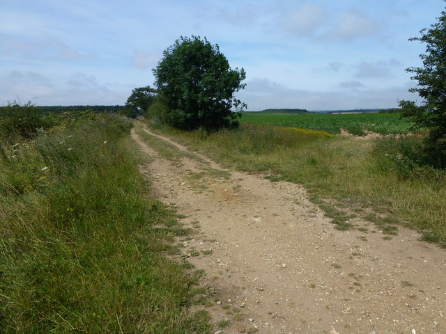 The Peddars' Way near Great Bircham © Richard Humphrey :: Geograph ...