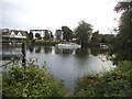 View across the Thames at Ham