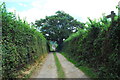 Footpath to Walford