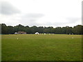 TQ4223 : Sheffield Park Cricket Ground by Paul Gillett