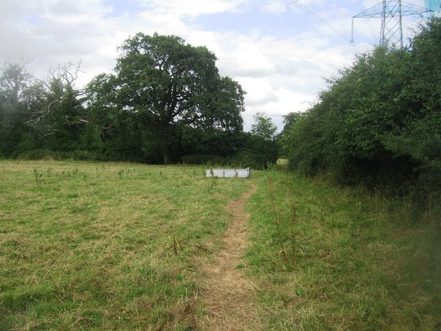 Cow trail, not a footpath