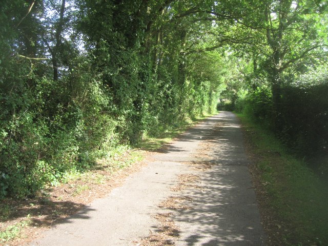 Potters Lane in summer