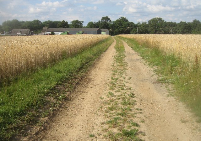 Path / track by Turgis Farm