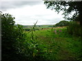 Holcombe Moor from Turton Tower