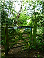 Gate on footpath on Pirbright Common