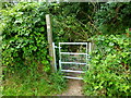 Gate into woodland
