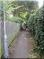 Footpath - Haigh Road