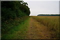 Footpath alongside Huddleston Old Wood