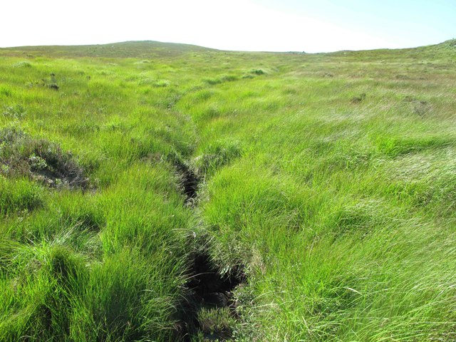 Tributary of the Inchlampie Burn
