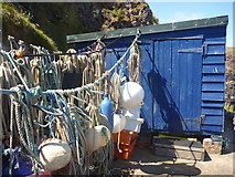 NT9167 : Coastal Berwickshire : Blue Shed And Ropes At St Abbs by Richard West