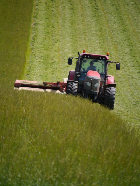 Mowing For Silage