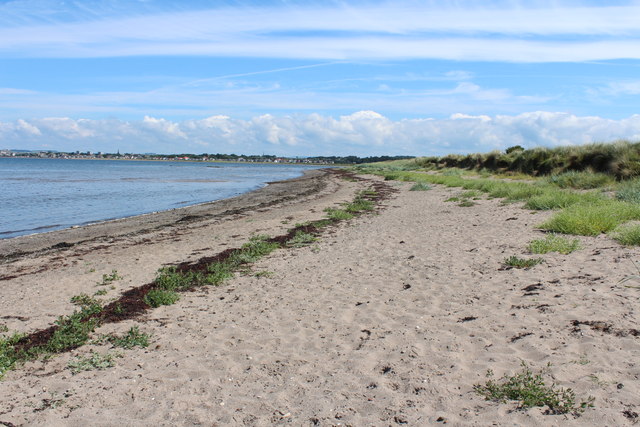 Shore at Longhill Point