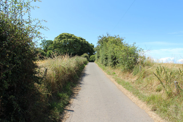 Cycle Route 7 at Greenan